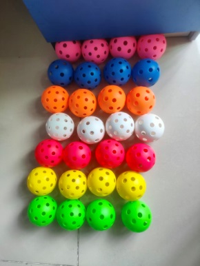 Injection molded pickleball  YA2015103